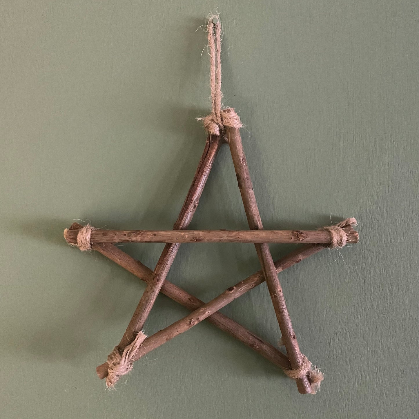 Hanging Willow Branch Pentagram