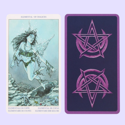 Pagan Tarot - Combining Wiccan traditions and modern lifestyles, this deck portrays the experiences of the contemporary Witch and Pagan priestess. Based on elemental dignities and the traditional Tarot structure, it portrays the experiences of the modern Witch and pagan priestess. An indispensable tool for Pagans seeking guidance for mundane problems and spiritual concerns and a must for those following the Wiccan path