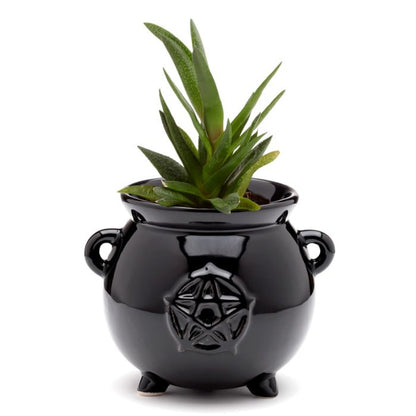 Cauldron Shaped Ceramic Indoor Planter