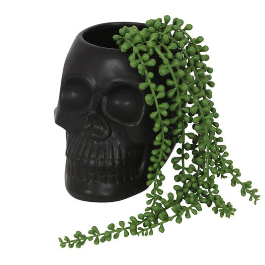 Add a touch of edgy, macabre charm to your plant collection with our Black Skull Plant Pot. Made from sleek black ceramic, this pot adds a bit of personality to any space. Perfect for those who like to keep their décor a little spooky