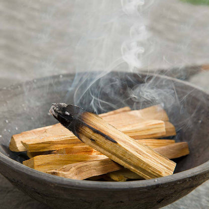 Palo Santo Holy Wood Sticks - 25g