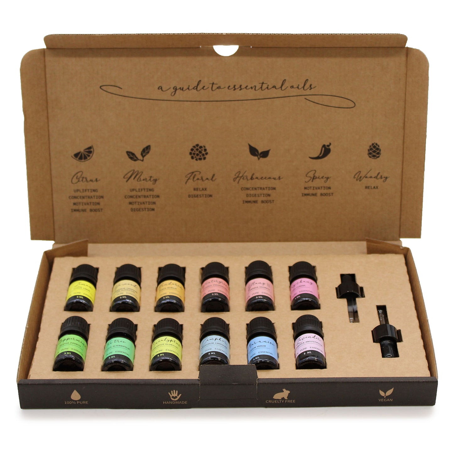 Aromatherapy Essential Oil Starter Pack - Set of 12