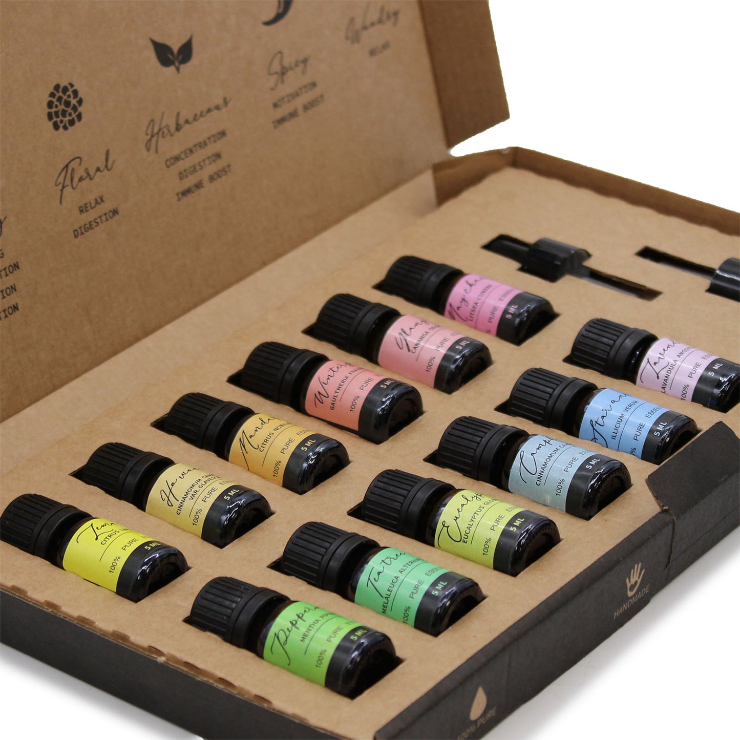 Aromatherapy Essential Oil Starter Pack - Set of 12