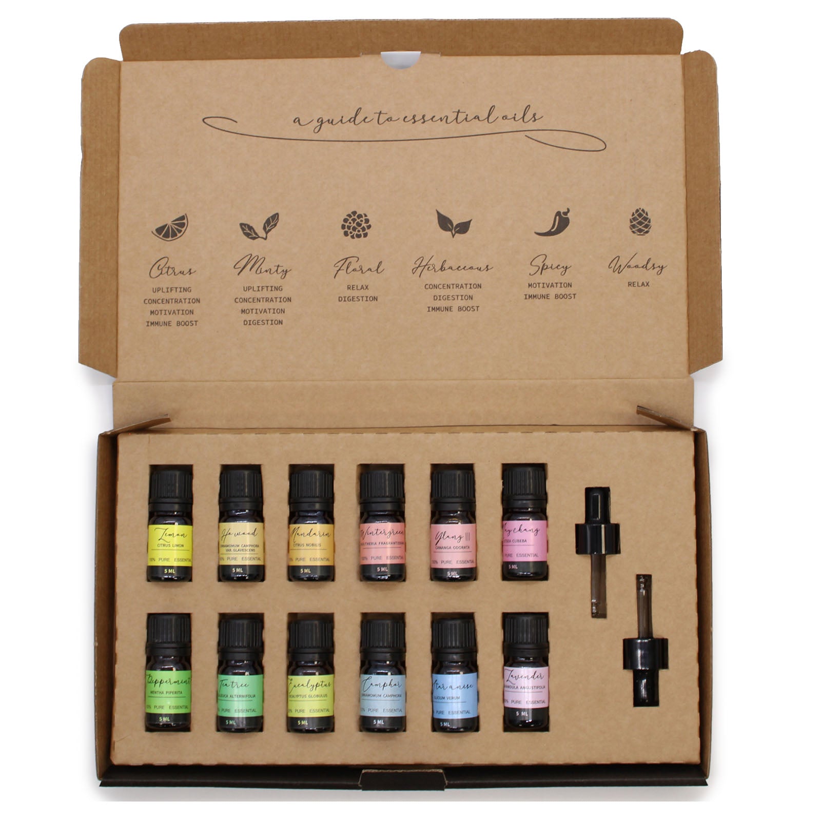 Aromatherapy Essential Oil Starter Pack - Set of 12