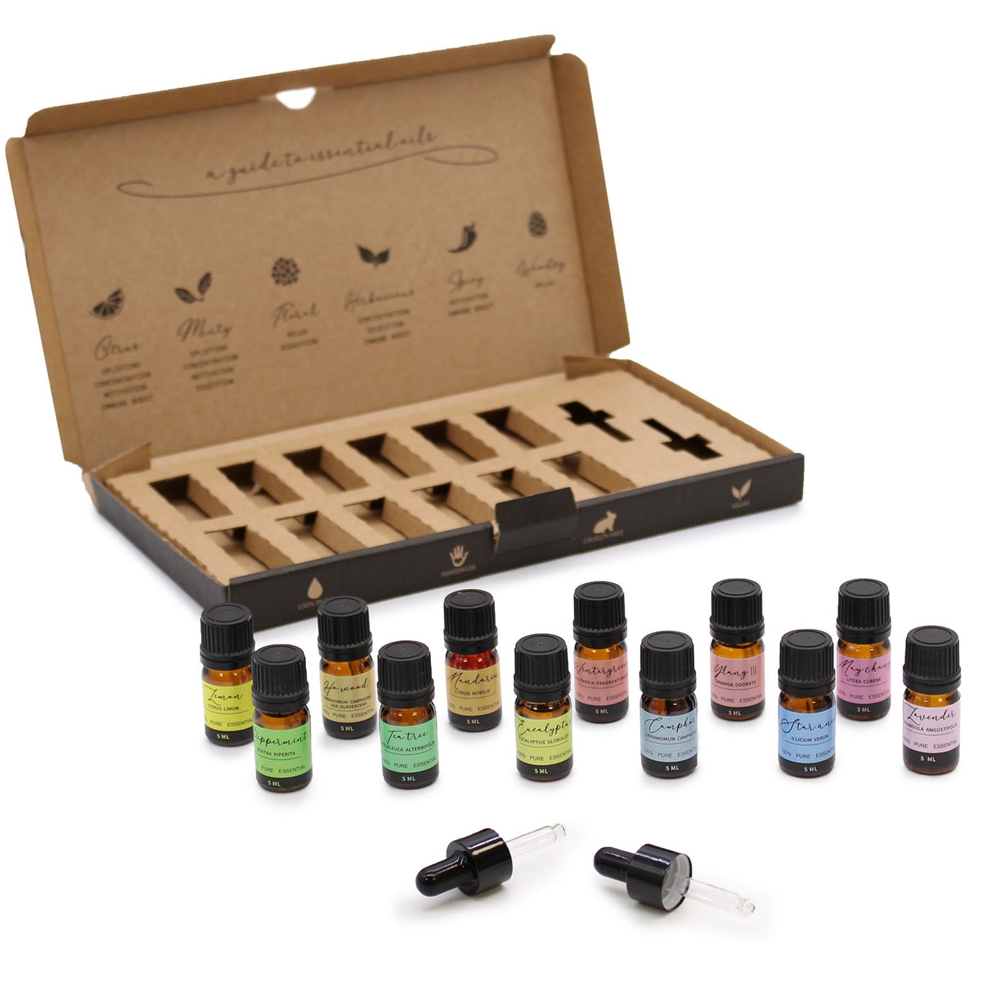 Aromatherapy Essential Oil Starter Pack - Set of 12