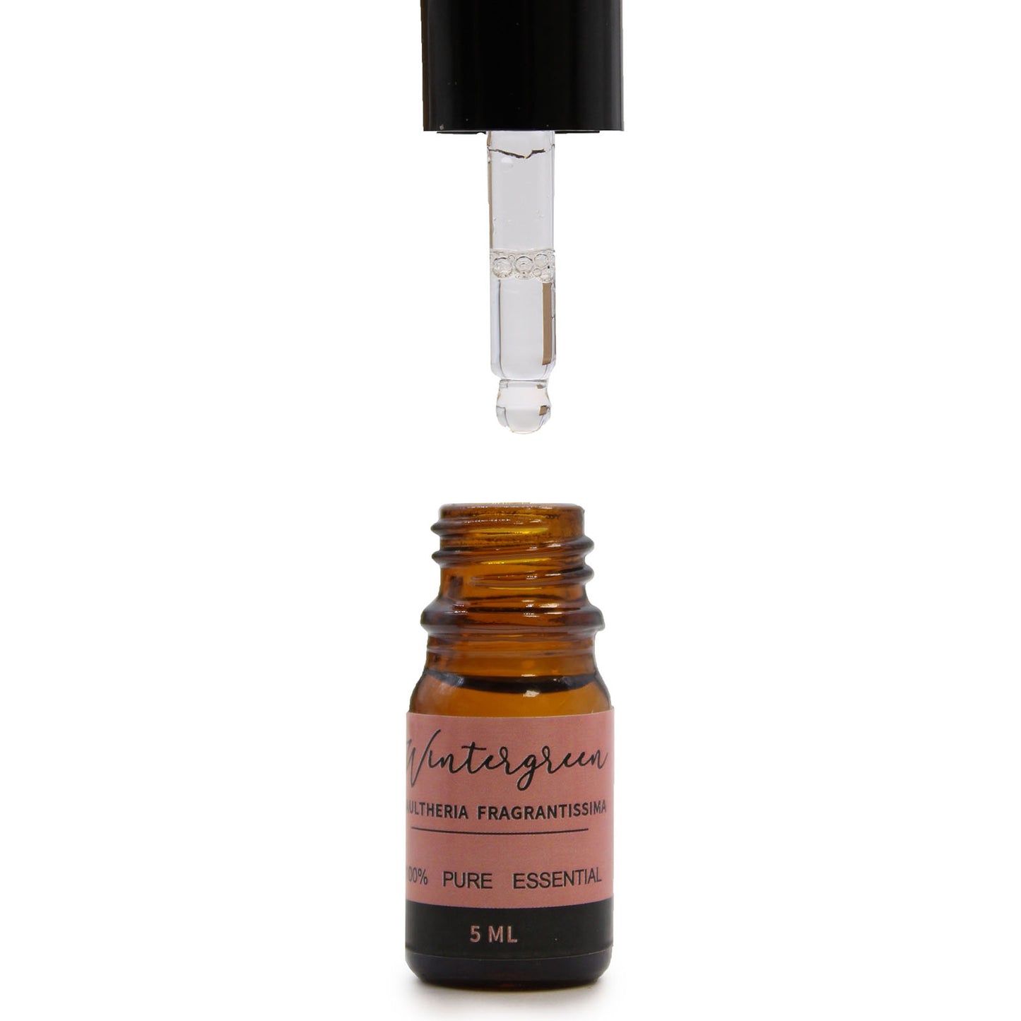 Aromatherapy Essential Oils - Top 12 Fragrance Set