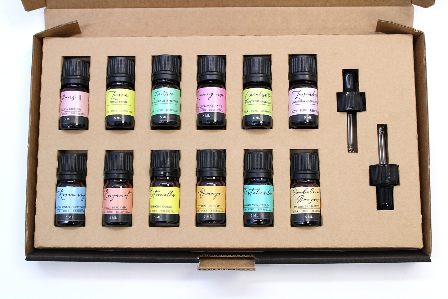 Aromatherapy Essential Oil Starter Pack - Set of 12