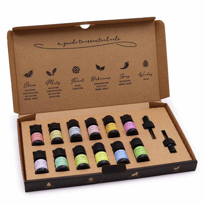 Aromatherapy Essential Oil Starter Pack - Set of 12