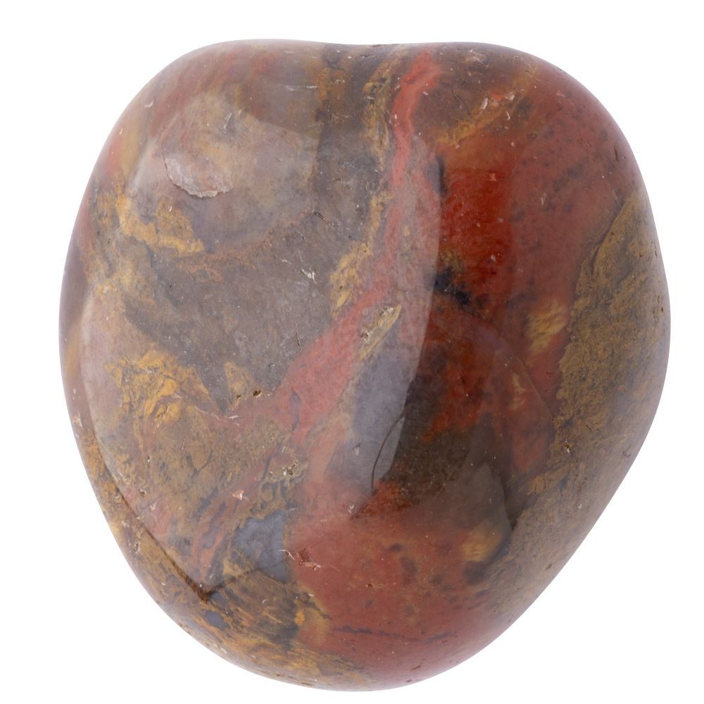 Petrified Wood Polished Crystal Tumble Stone