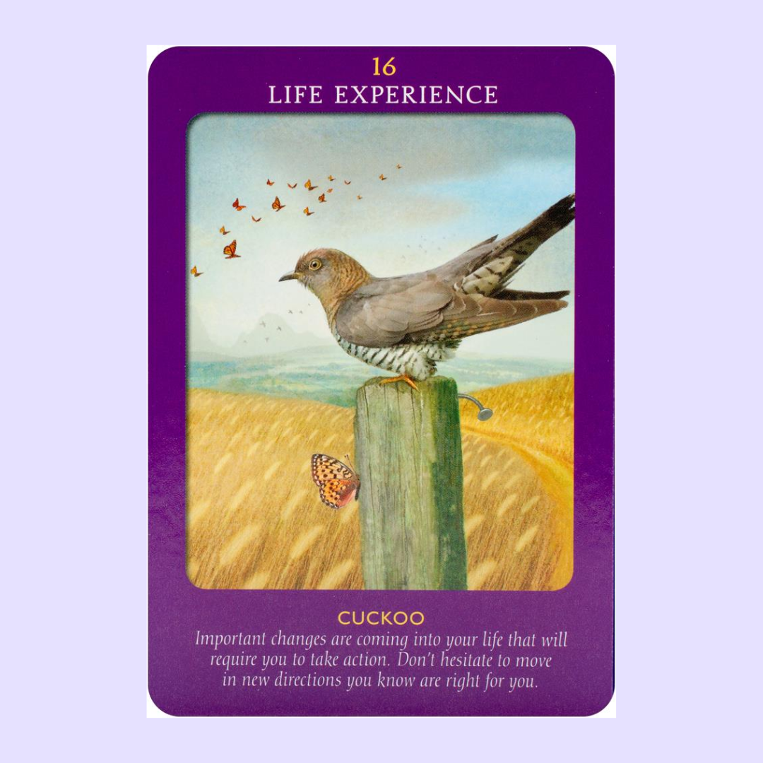 Animal Guides Tarot by Radleigh Valentine