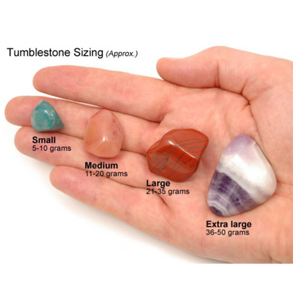 Tumblestone en cristal poli en bois pétrifié