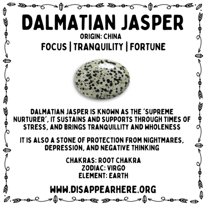 Dalmatian Jasper Polished Crystal Tumblestone