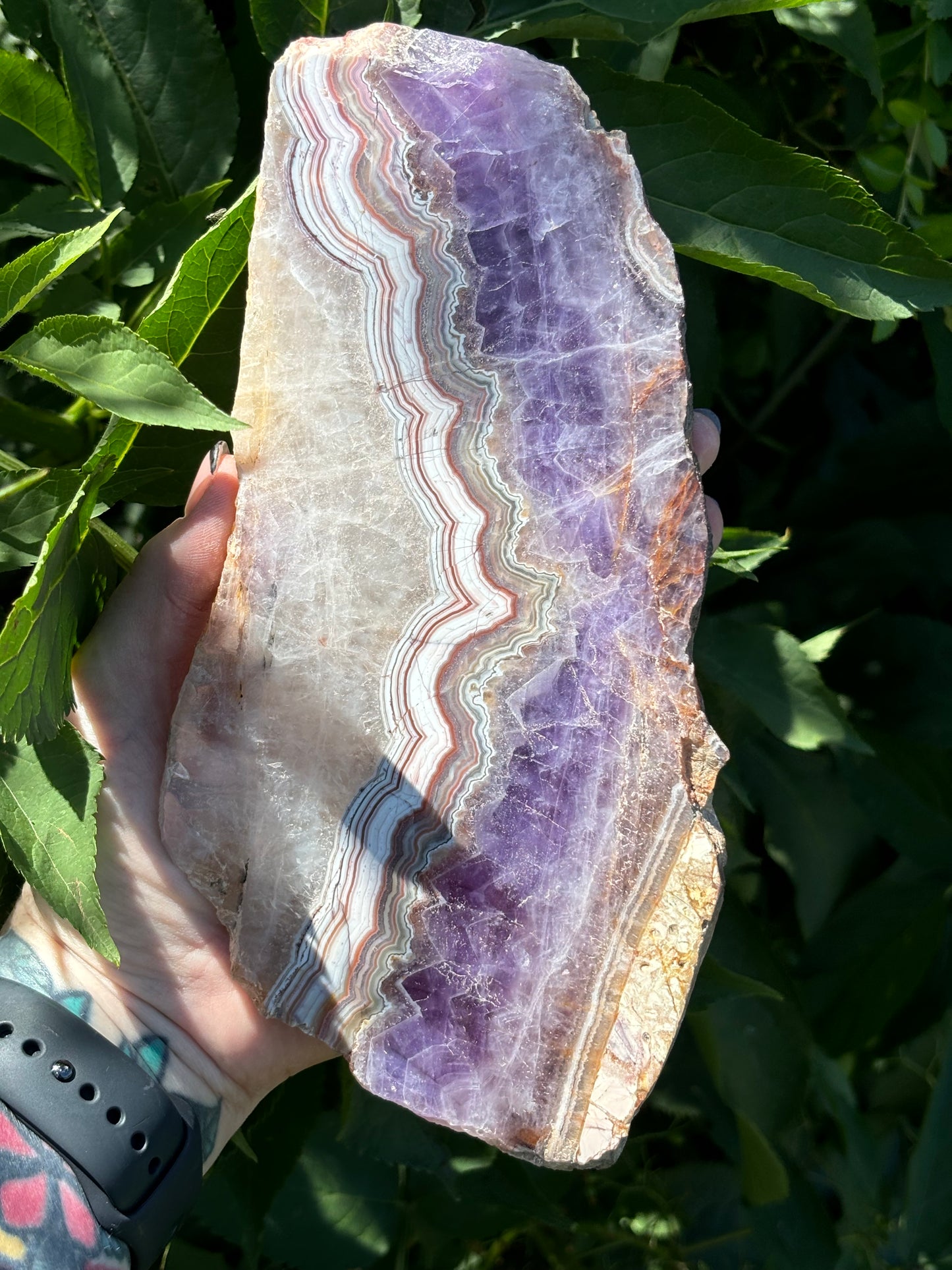 HUGE Mexican Amethyst Lace Slab