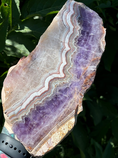 HUGE Mexican Amethyst Lace Slab