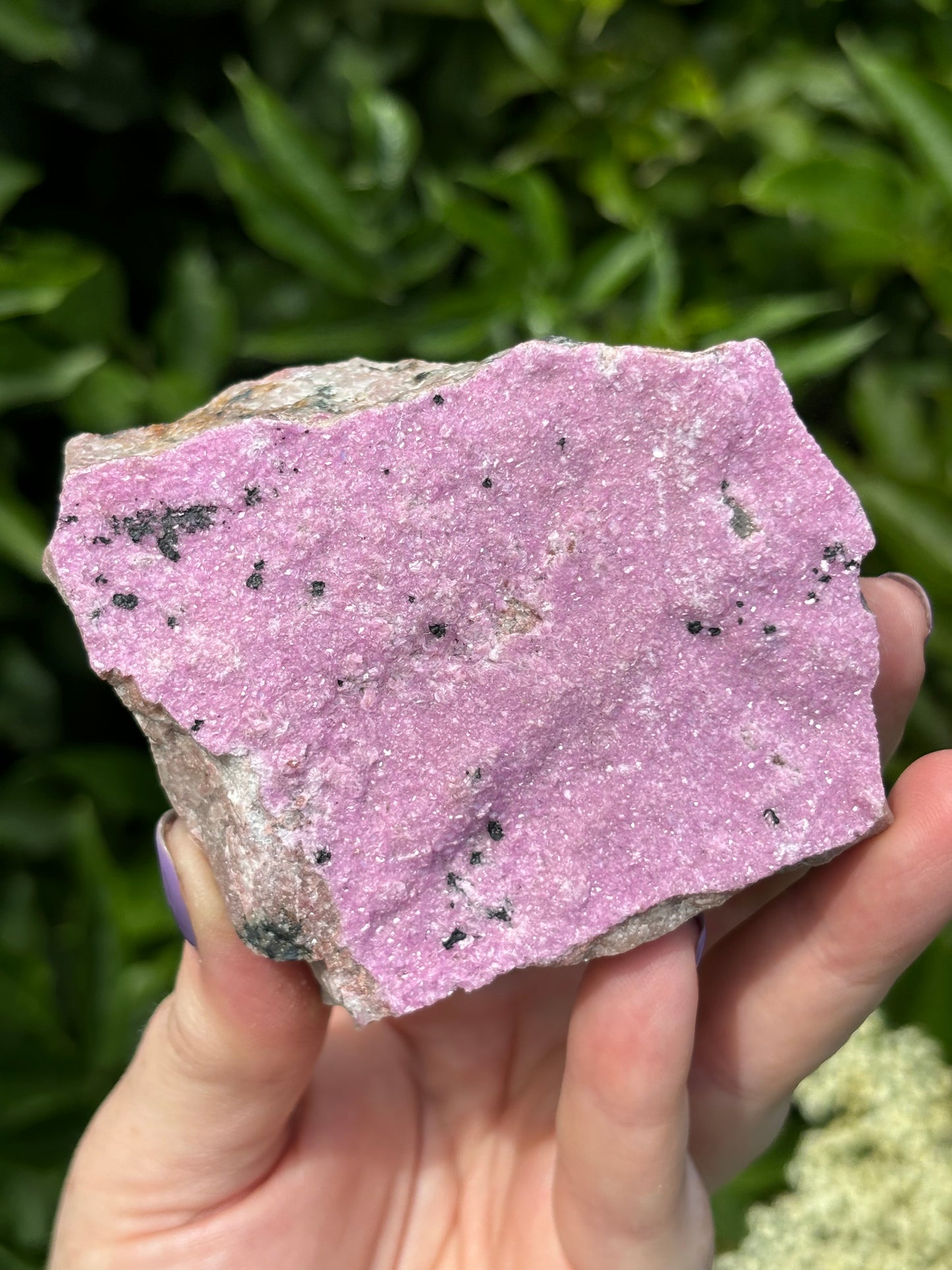 Rare Large Pink Raw Cobalto Calcite in Matrix with Malachite