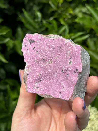 Rare Large Pink Raw Cobalto Calcite in Matrix with Malachite