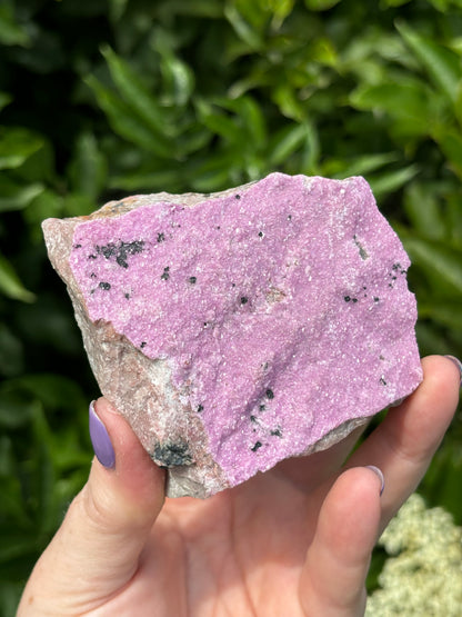 Rare Large Pink Raw Cobalto Calcite in Matrix with Malachite