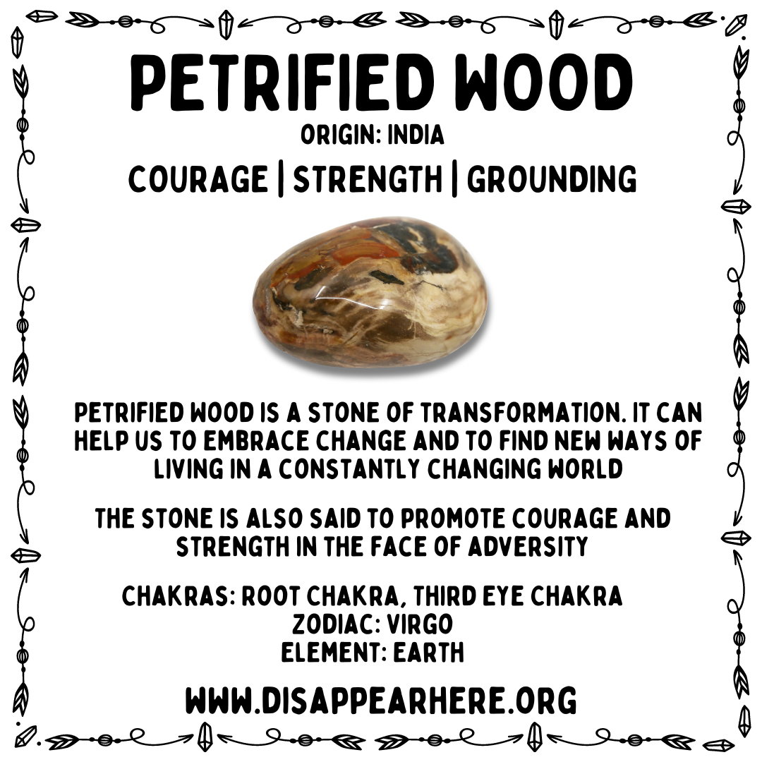 Petrified Wood Polished Crystal Tumblestone