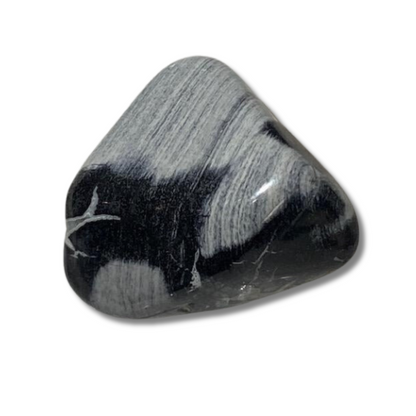 Silver Leaf Jasper Polished Crystal Tumble Stone