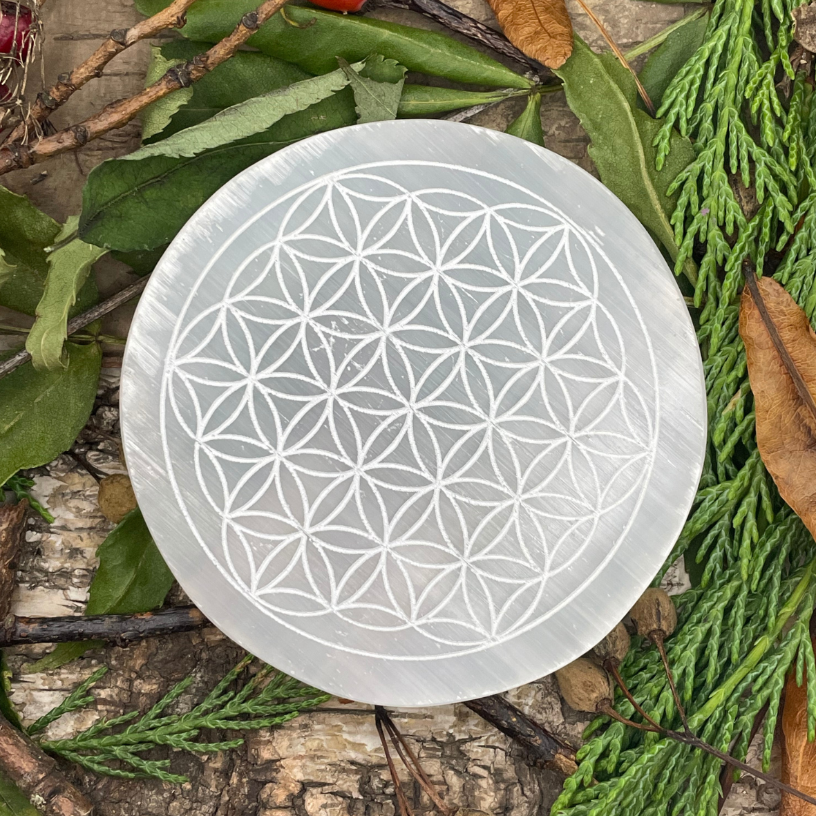 Selenite Flower of Life Charging Plate | Disappear Here