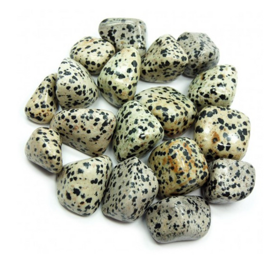 Dalmatian Jasper Polished Crystal Tumble Stone