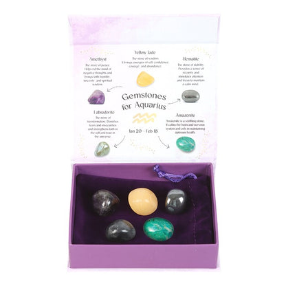 Aquarius Crystal Tumblestone Gift Set