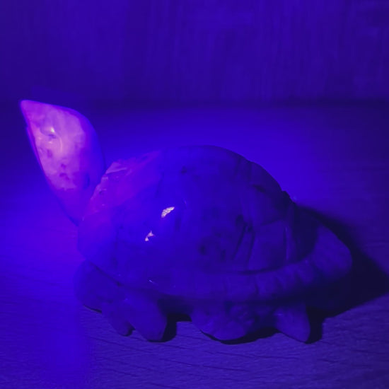 Large UV Reactive Afghanite Crystal Turtle