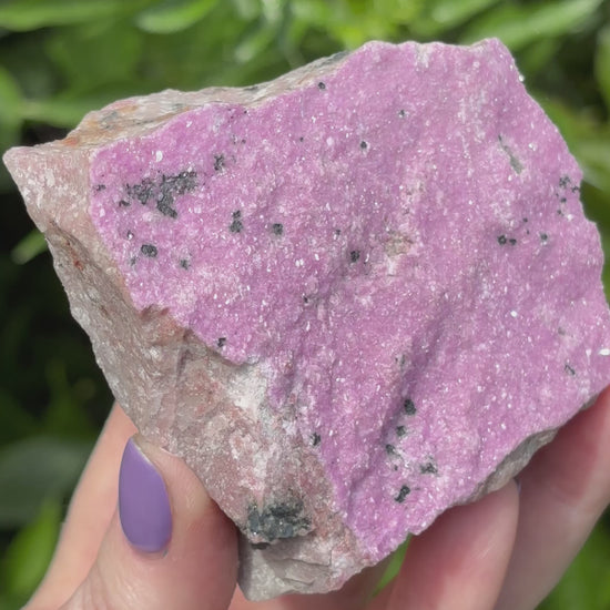 Rare Large Pink Raw Cobalto Calcite in Matrix with Malachite