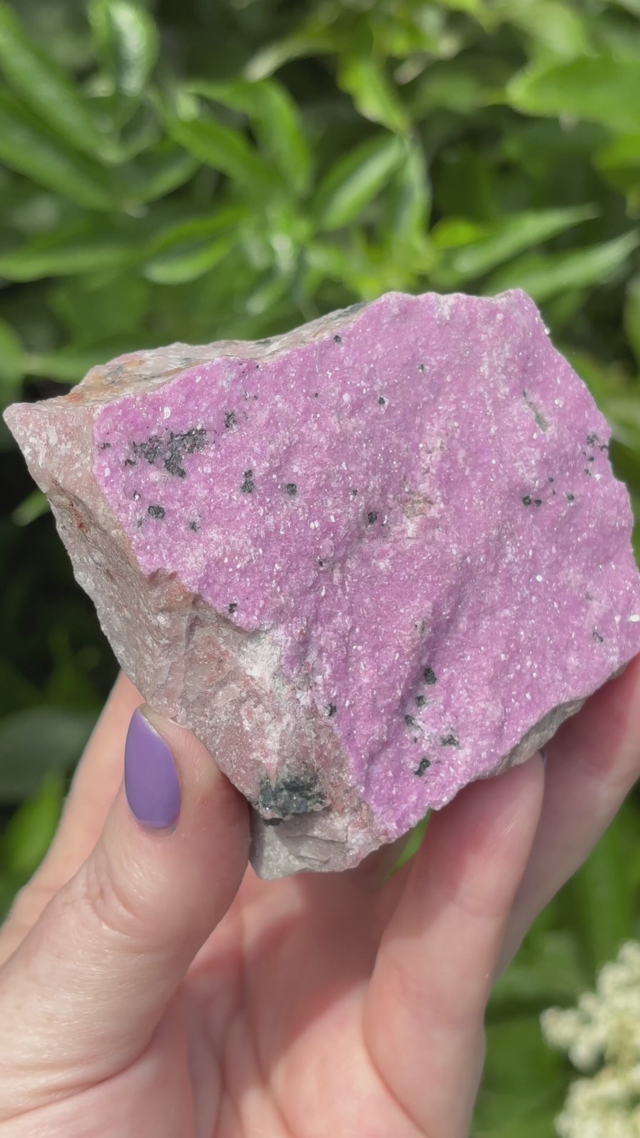 Rare Large Pink Raw Cobalto Calcite in Matrix with Malachite