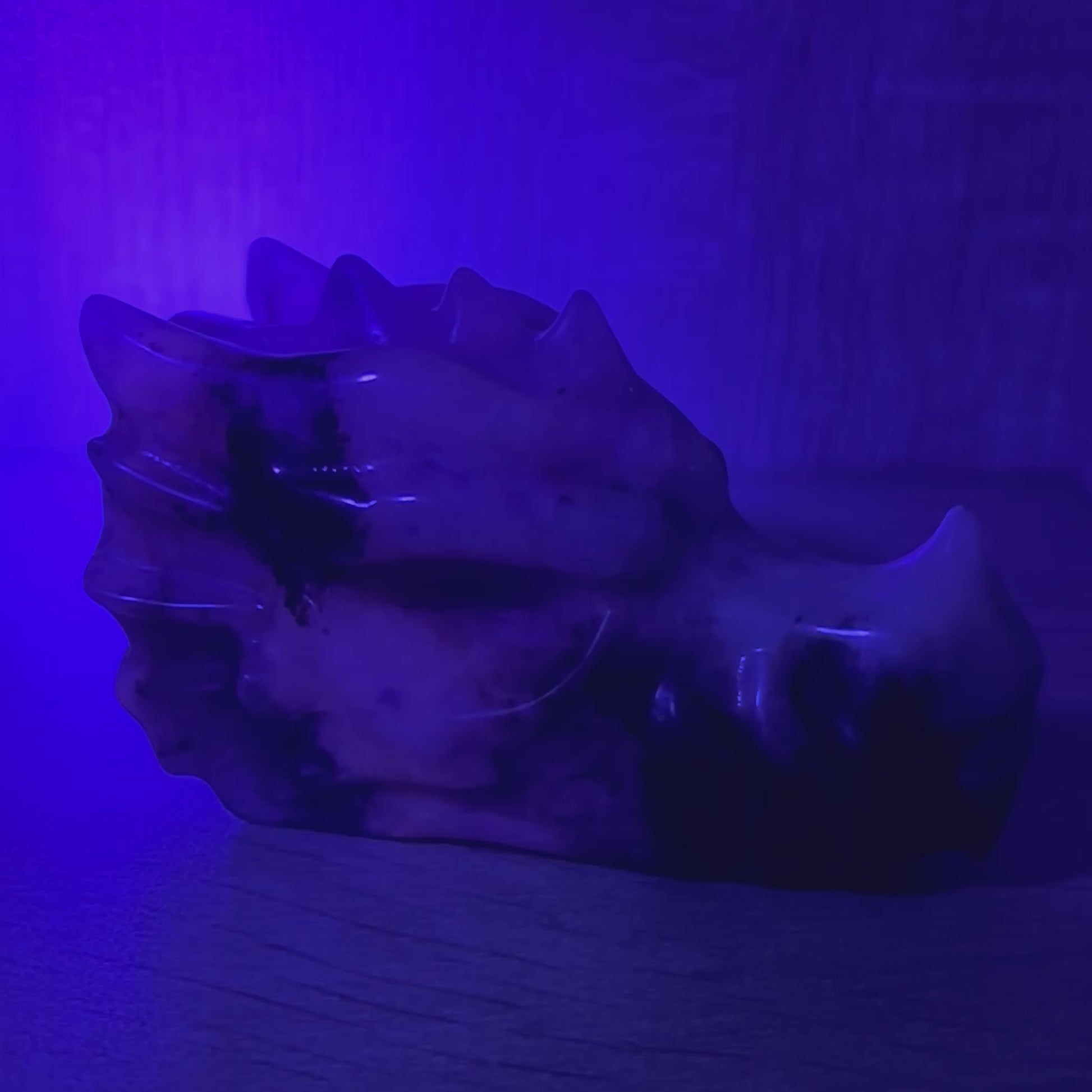 Large UV Reactive Afghanite Crystal Dragon Head